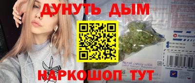 амф Гатчина