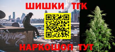 амф Гатчина