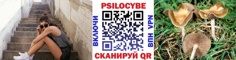 OMG зеркало  Кольчугино  Псилоцибиновые грибы мухоморы  хочу  